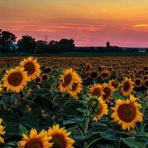 Meet your Posher, Debra